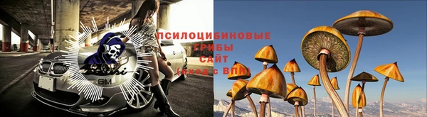 МДМА Белокуриха
