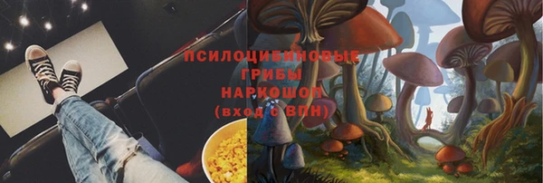 МДМА Белокуриха