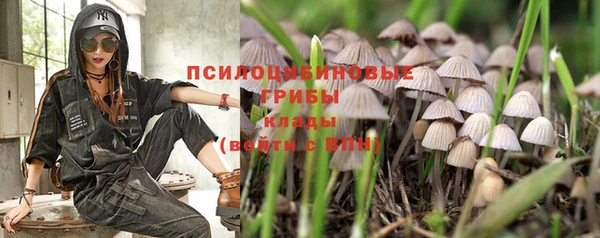 гидропоника Беломорск