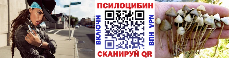Псилоцибиновые грибы MAGIC MUSHROOMS  ОМГ ОМГ ссылка  Казань 